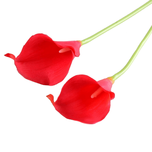 Calla Lilies with Matching Greens